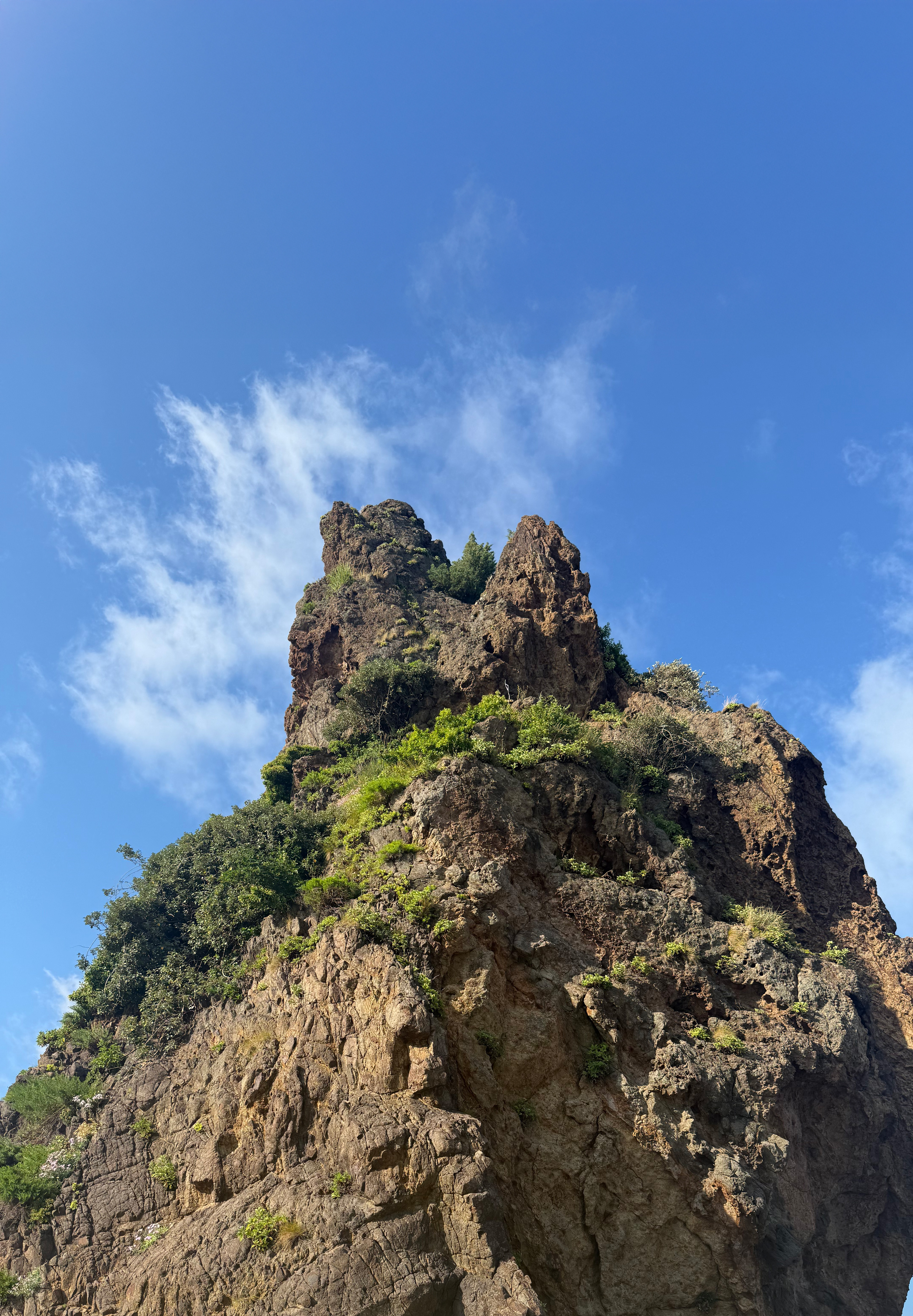 FACCTing 플랫폼 성장 스토리 및 교육 현장